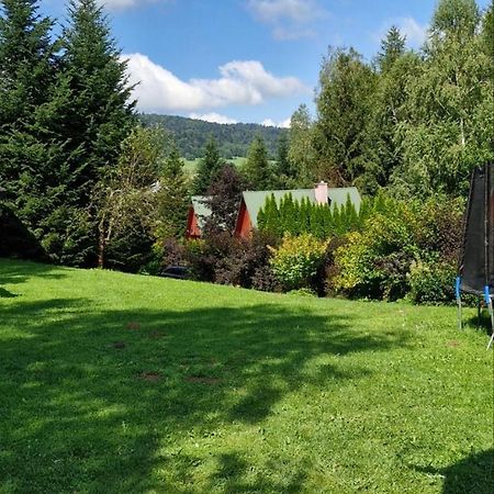 Domki Pod Kiczera W Baligrodzie, Bieszczady Buitenkant foto